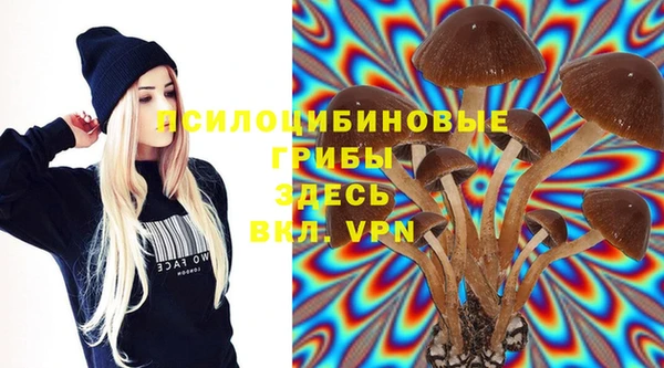 винт Абинск