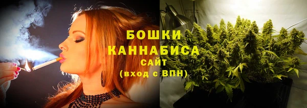 ПСИЛОЦИБИНОВЫЕ ГРИБЫ Семёнов